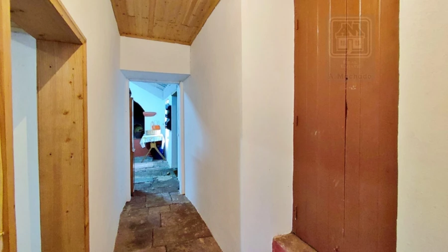 Quinta T20 para Venda em Almagreira Foto 168