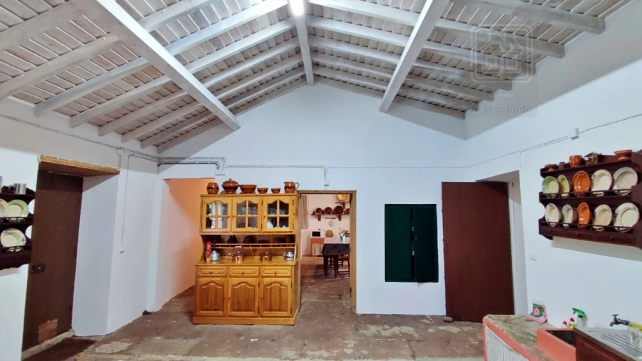 Quinta T20 para Venda em Almagreira Foto 174