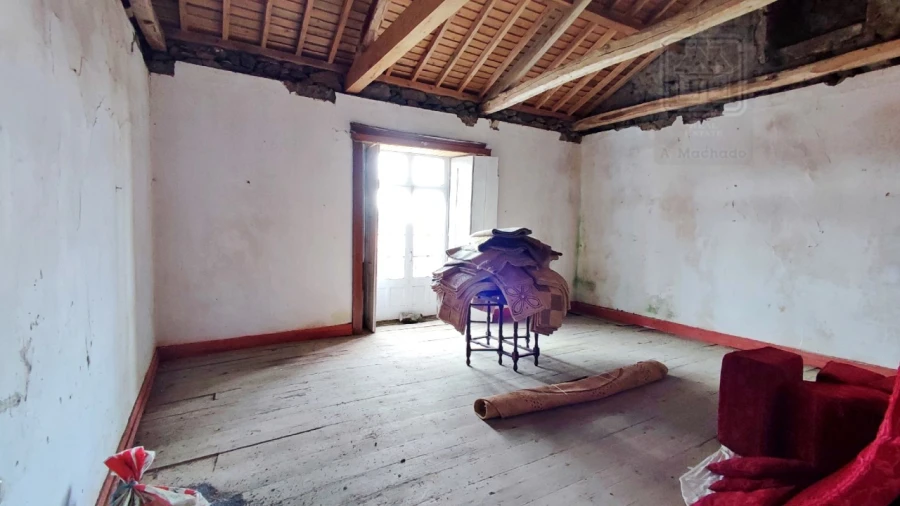 Quinta T20 para Venda em Almagreira Foto 189