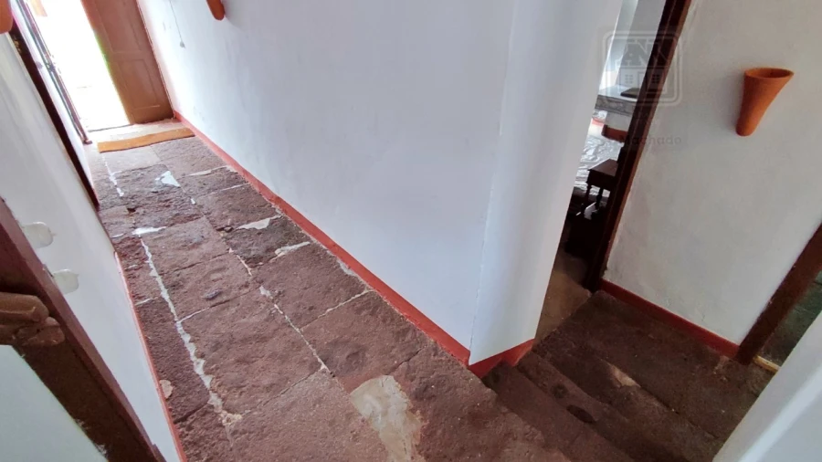 Quinta T20 para Venda em Almagreira Foto 197