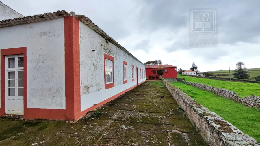 Quinta T20 para Venda em Almagreira Foto 215