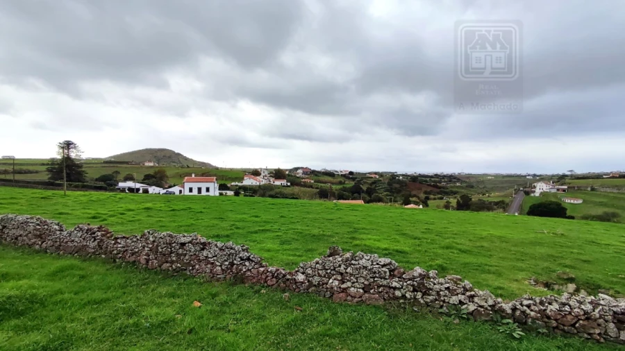 Quinta T20 para Venda em Almagreira Foto 217