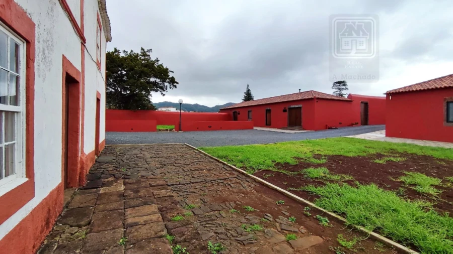 Quinta T20 para Venda em Almagreira Foto 218