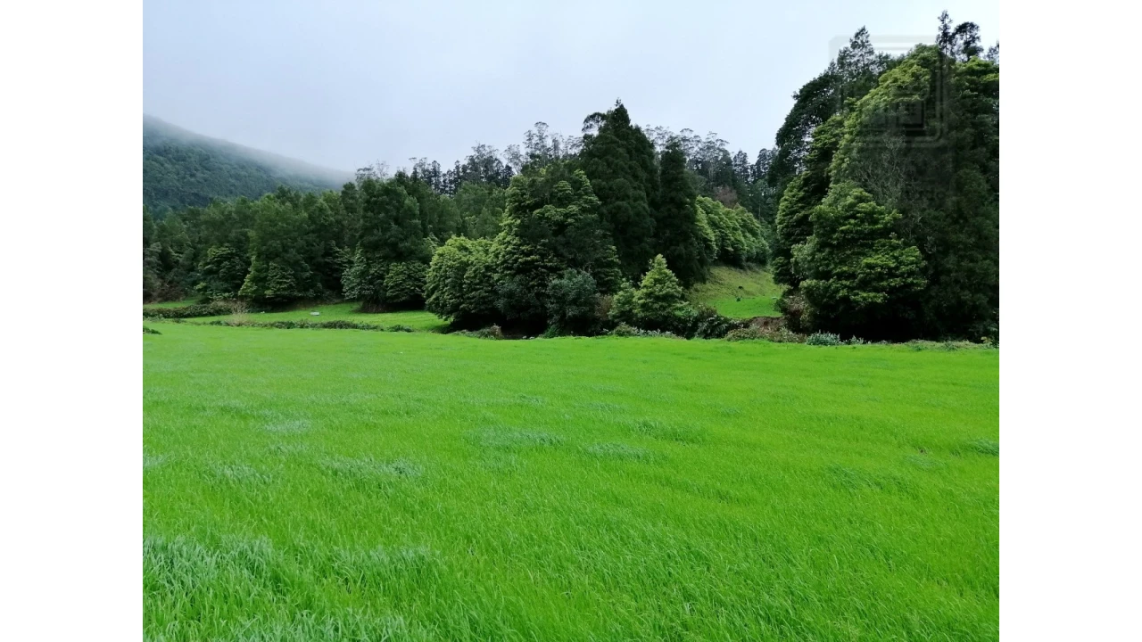 Terreno Agricola ou Rústico para Venda em Sete Cidades Foto 6