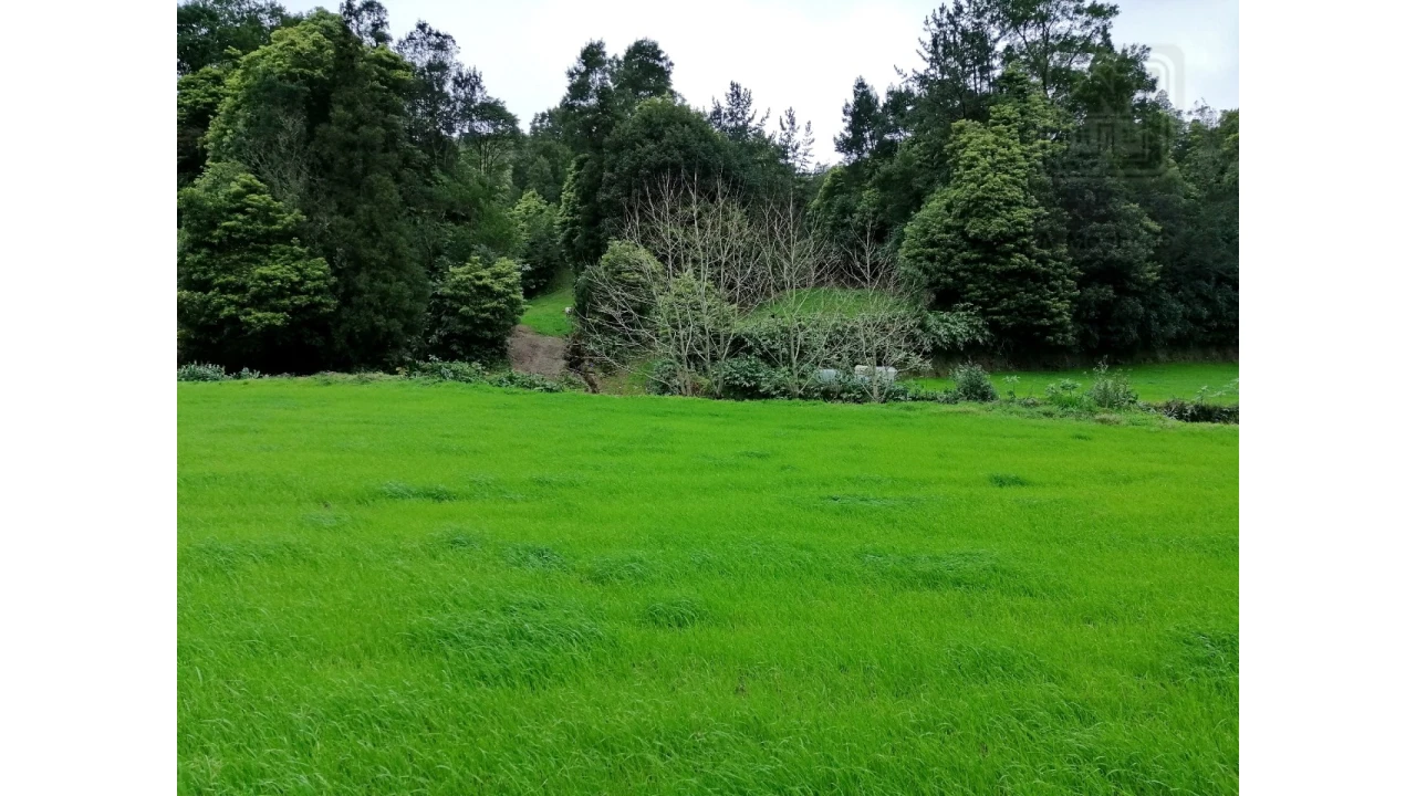 Terreno Agricola ou Rústico para Venda em Sete Cidades Foto 8