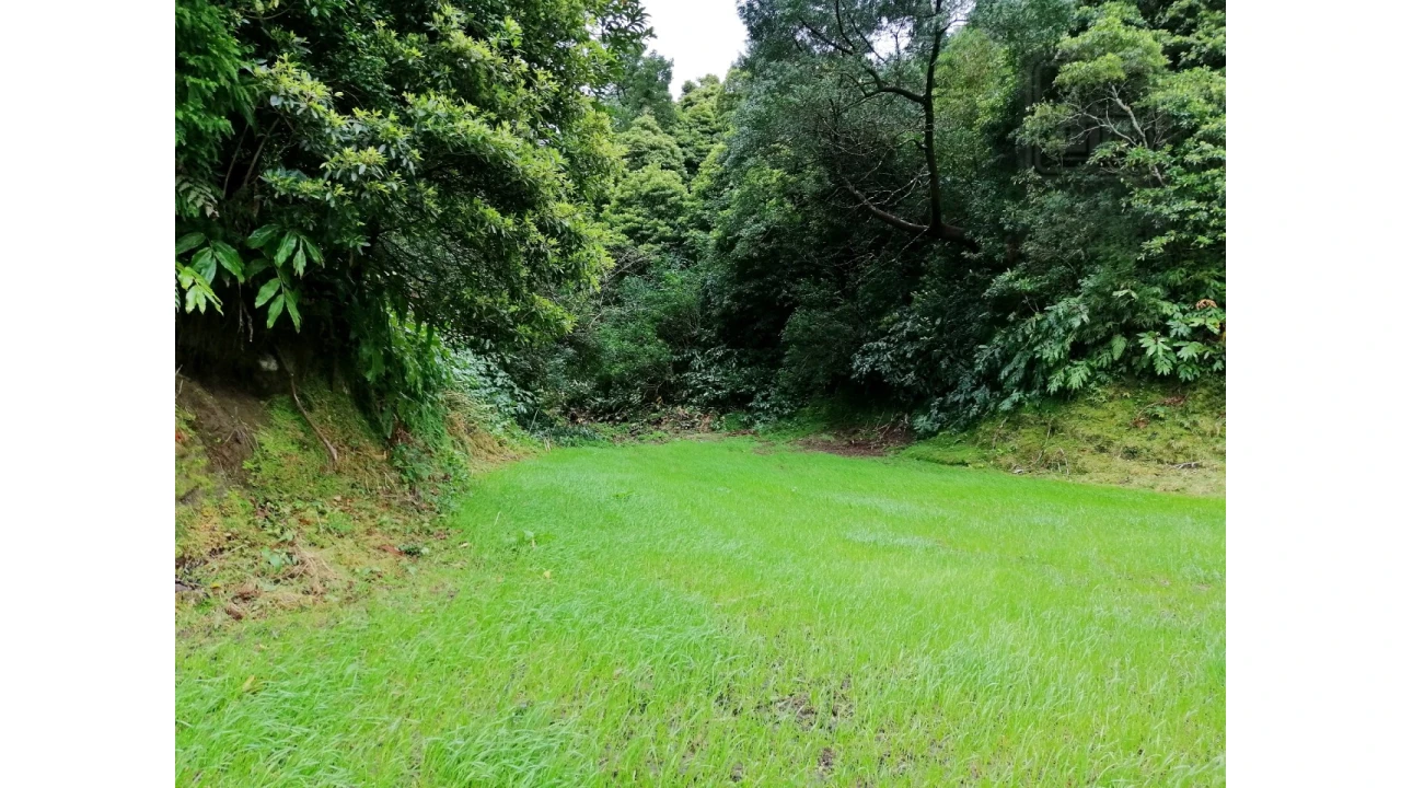 Terreno Agricola ou Rústico para Venda em Sete Cidades Foto 10
