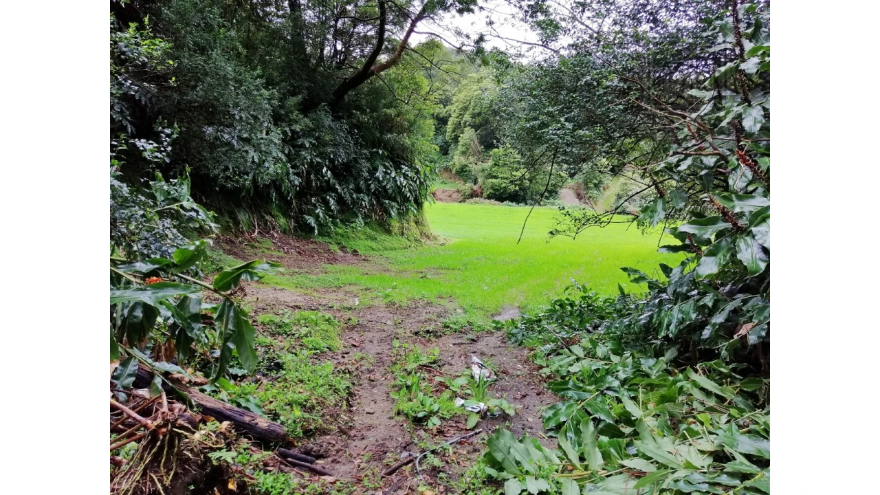 Terreno Agricola ou Rústico para Venda em Sete Cidades Foto 12