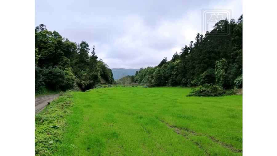 Terreno Agricola ou Rústico para Venda em Sete Cidades Foto 1