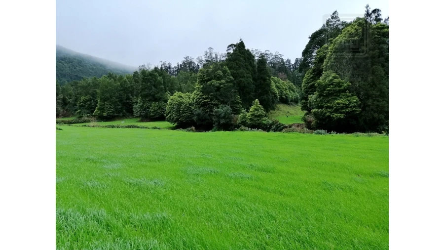 Terreno Agricola ou Rústico para Venda em Sete Cidades Foto 6