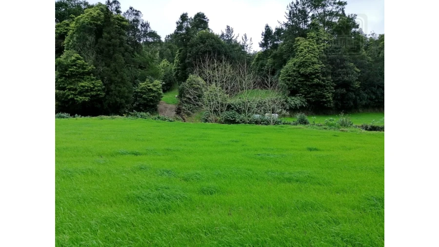 Terreno Agricola ou Rústico para Venda em Sete Cidades Foto 8