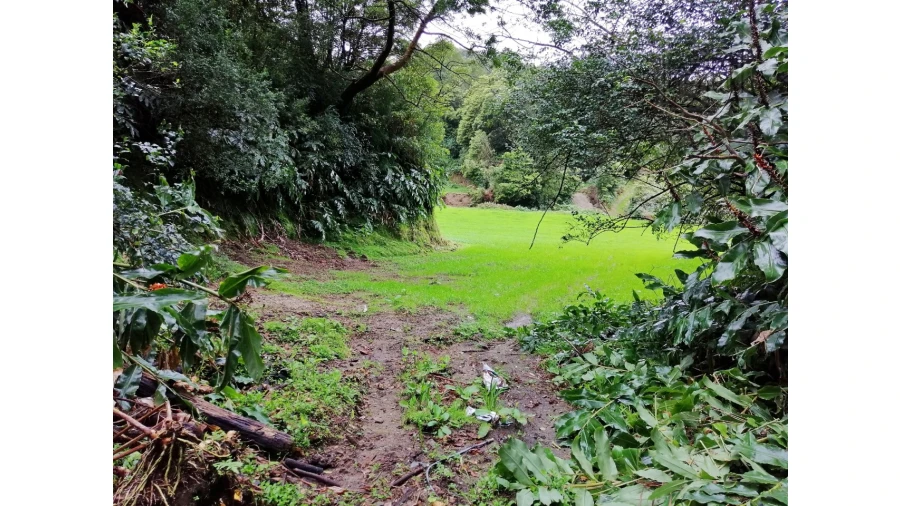 Terreno Agricola ou Rústico para Venda em Sete Cidades Foto 12