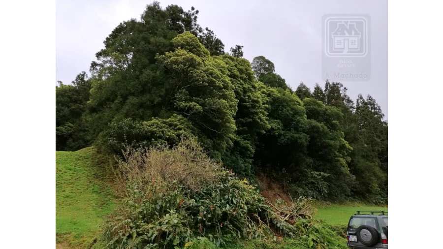 Terreno Agricola ou Rústico para Venda em Sete Cidades Foto 29