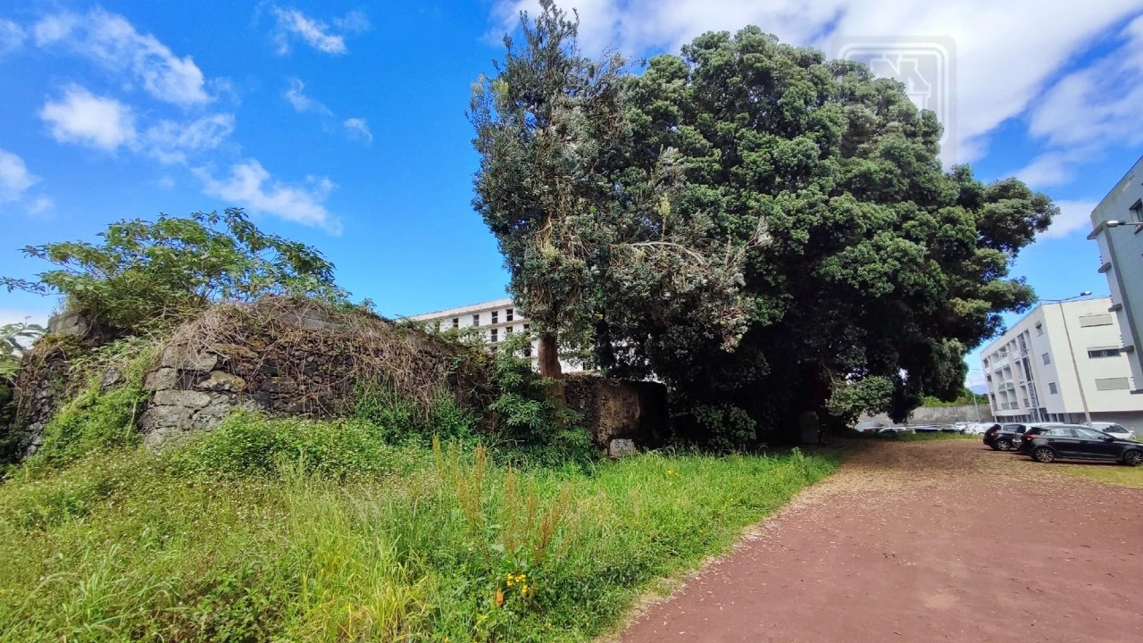 Terreno para Venda em Ponta Delgada (São José) Foto 53