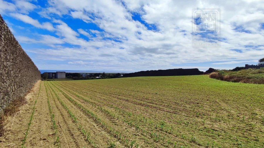 Terreno para Venda em Ponta Delgada (São José) Foto 13