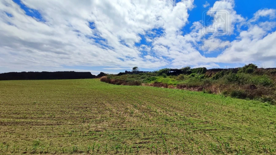 Terreno para Venda em Ponta Delgada (São José) Foto 14