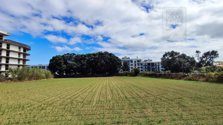 Terreno para Venda em Santa Clara Foto 3