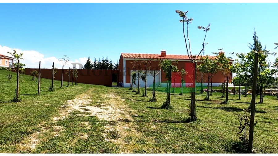 Moradia T3 para Venda em Abitureiras Foto 18