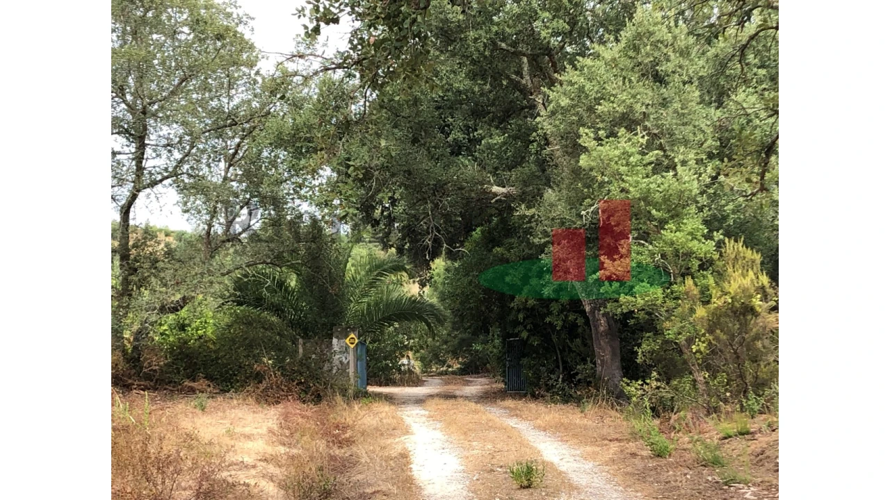 Quinta T6 para Venda em Aveiras de Baixo Foto 69