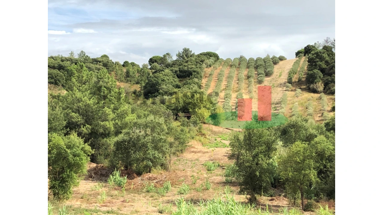 Quinta T6 para Venda em Aveiras de Baixo Foto 63