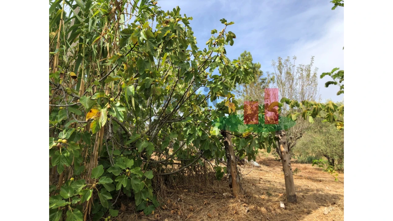 Quinta T6 para Venda em Aveiras de Baixo Foto 61