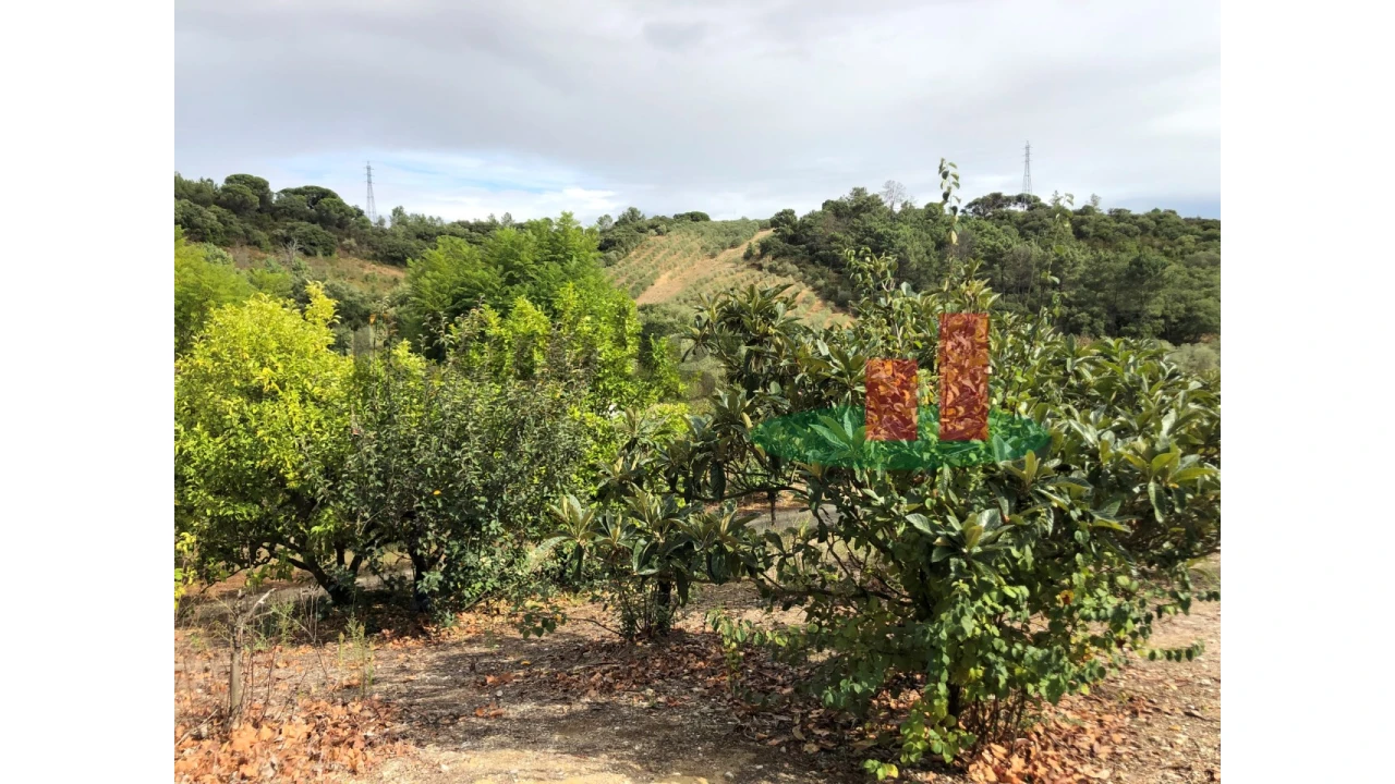 Quinta T6 para Venda em Aveiras de Baixo Foto 64