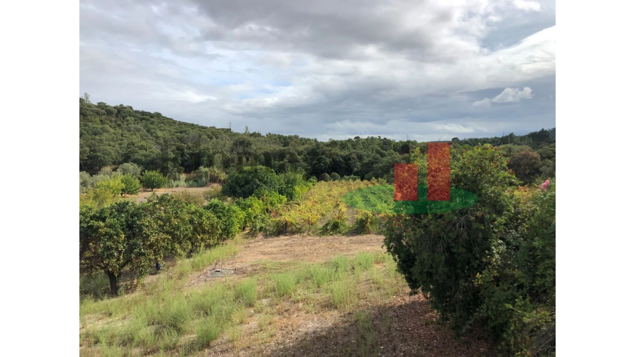 Quinta T6 para Venda em Aveiras de Baixo Foto 66