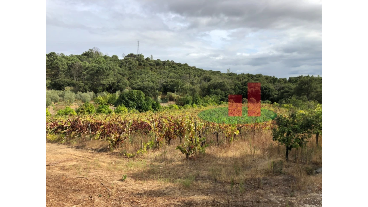 Quinta T6 para Venda em Aveiras de Baixo Foto 67