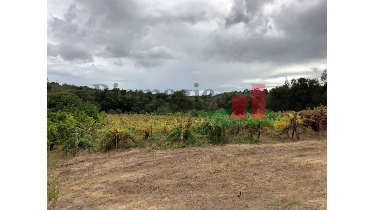 Quinta T6 para Venda em Aveiras de Baixo Foto 68