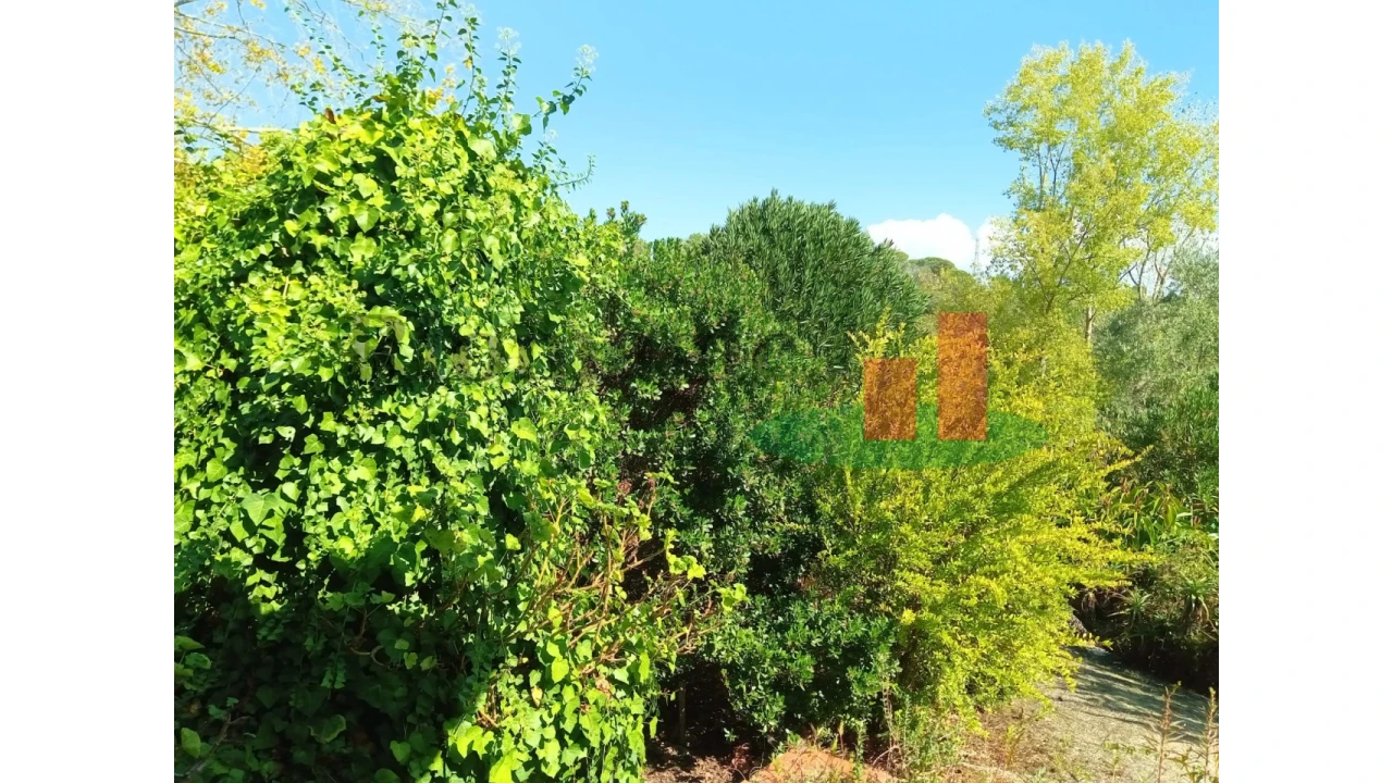 Quinta T6 para Venda em Aveiras de Baixo Foto 70