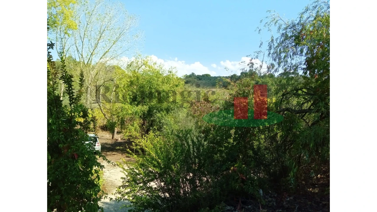 Quinta T6 para Venda em Aveiras de Baixo Foto 75