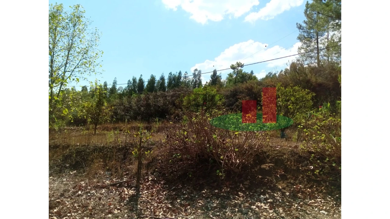 Quinta T6 para Venda em Aveiras de Baixo Foto 76