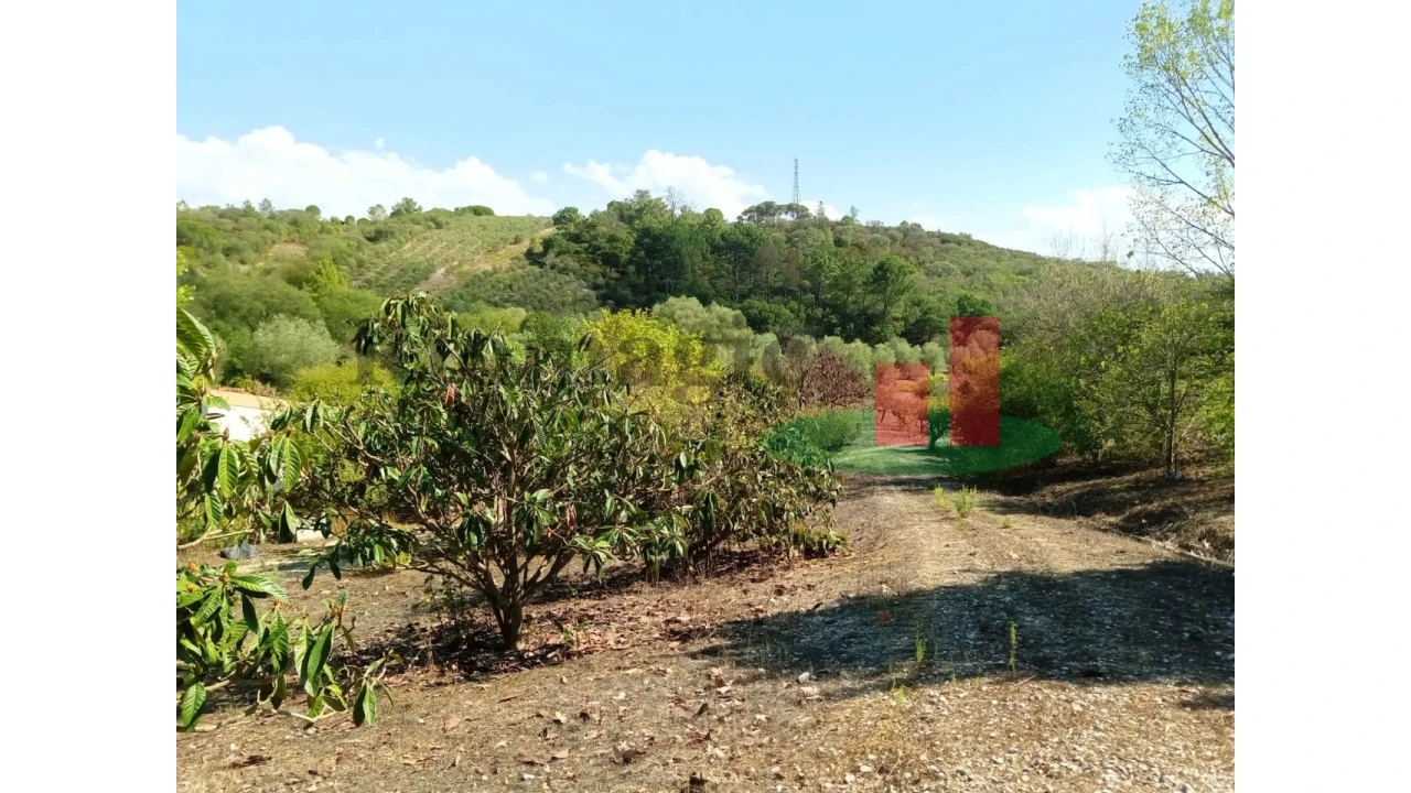 Quinta T6 para Venda em Aveiras de Baixo Foto 77