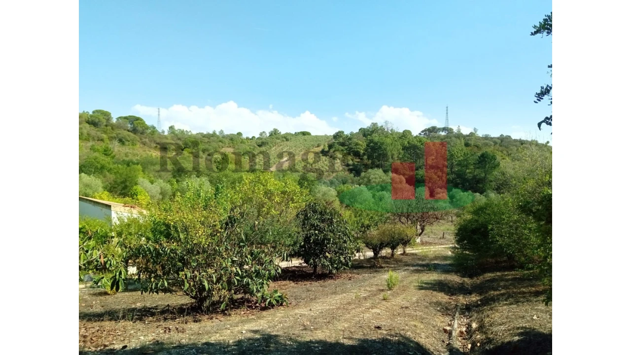 Quinta T6 para Venda em Aveiras de Baixo Foto 78