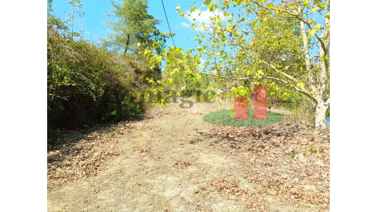 Quinta T6 para Venda em Aveiras de Baixo Foto 82