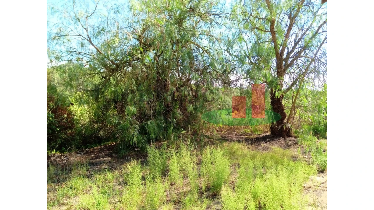Quinta T6 para Venda em Aveiras de Baixo Foto 83