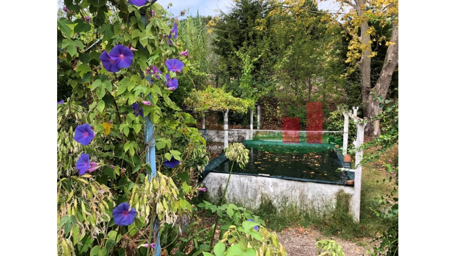 Quinta T6 para Venda em Aveiras de Baixo Foto 60