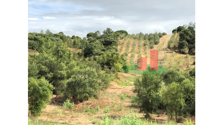 Quinta T6 para Venda em Aveiras de Baixo Foto 63