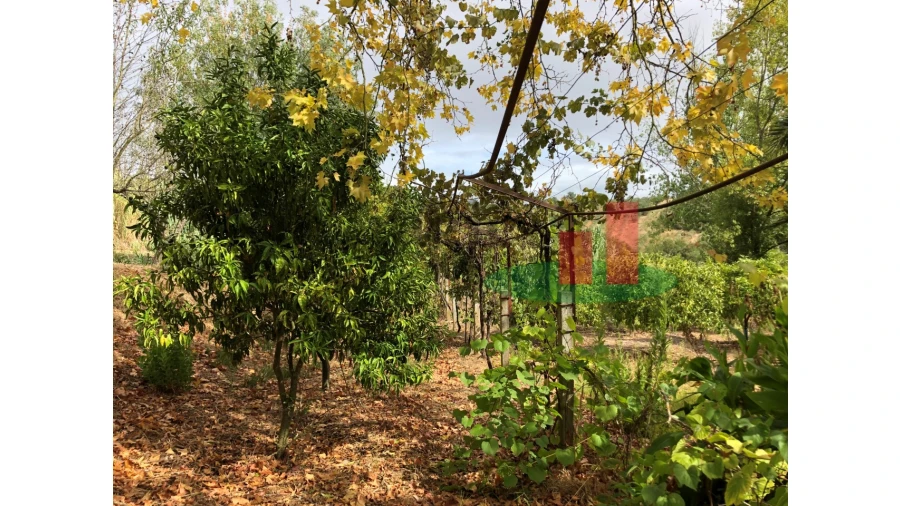 Quinta T6 para Venda em Aveiras de Baixo Foto 62