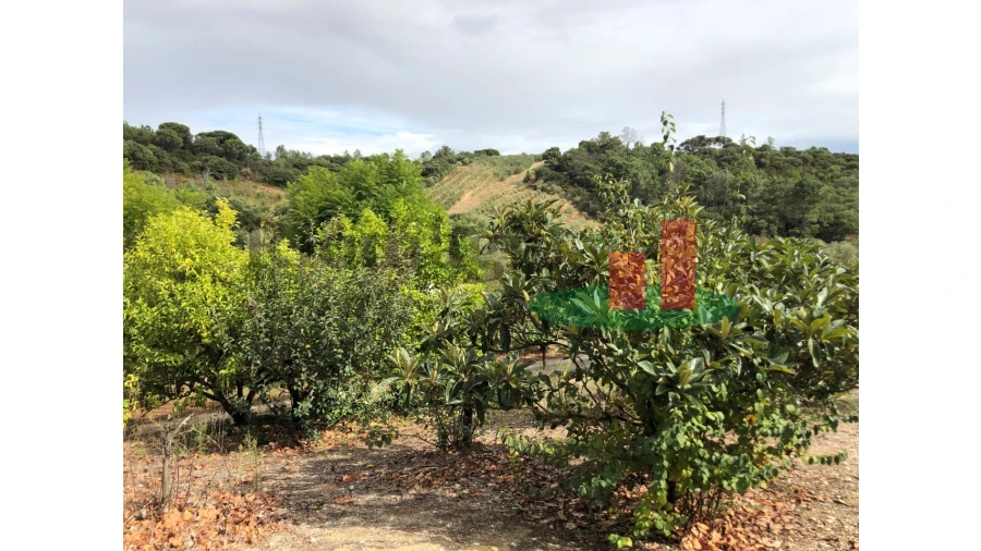 Quinta T6 para Venda em Aveiras de Baixo Foto 64