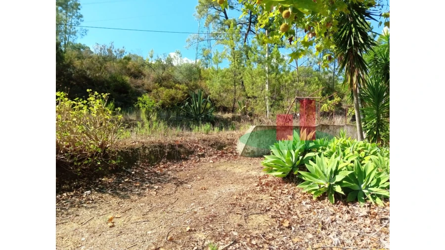 Quinta T6 para Venda em Aveiras de Baixo Foto 79