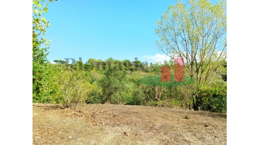 Quinta T6 para Venda em Aveiras de Baixo Foto 80