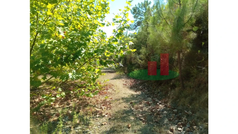 Quinta T6 para Venda em Aveiras de Baixo Foto 81