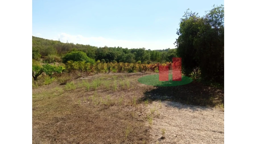 Quinta T6 para Venda em Aveiras de Baixo Foto 86