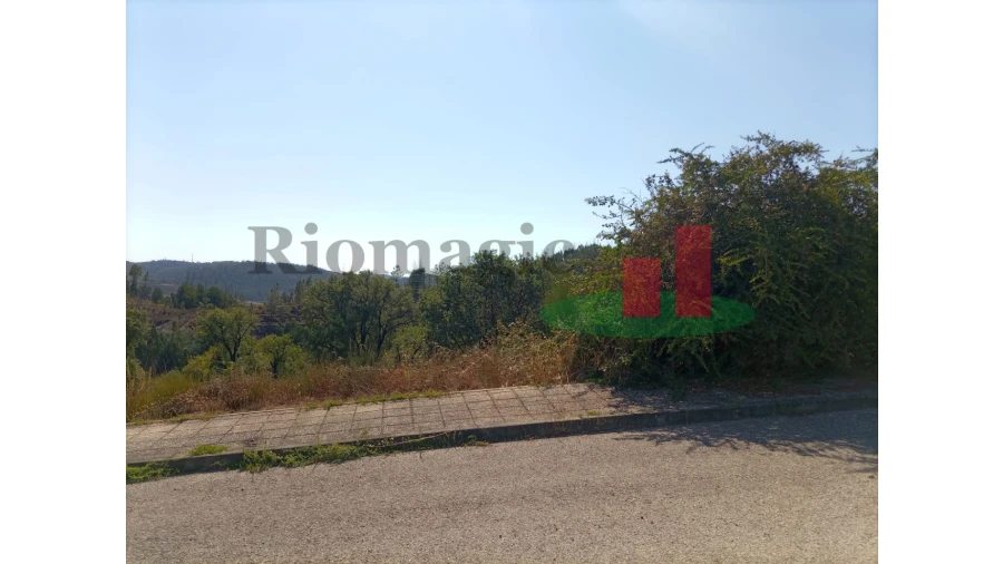 Terreno para Venda em Mação, Penhascoso e Aboboreira Foto 5
