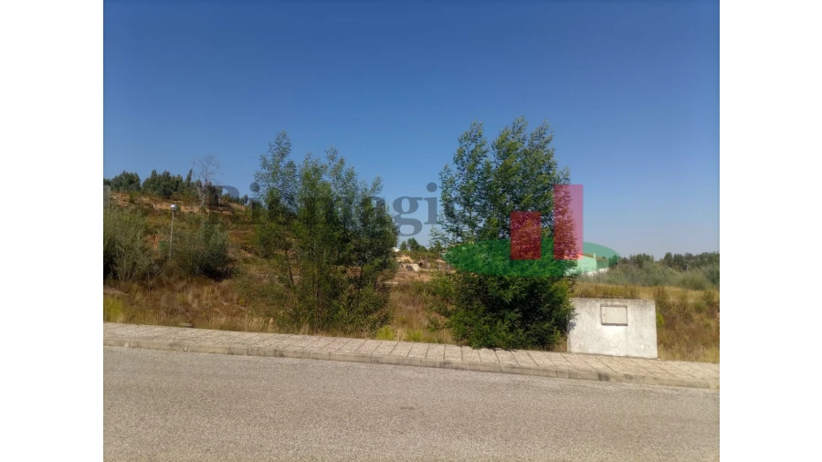 Terreno para Venda em Mação, Penhascoso e Aboboreira Foto 5