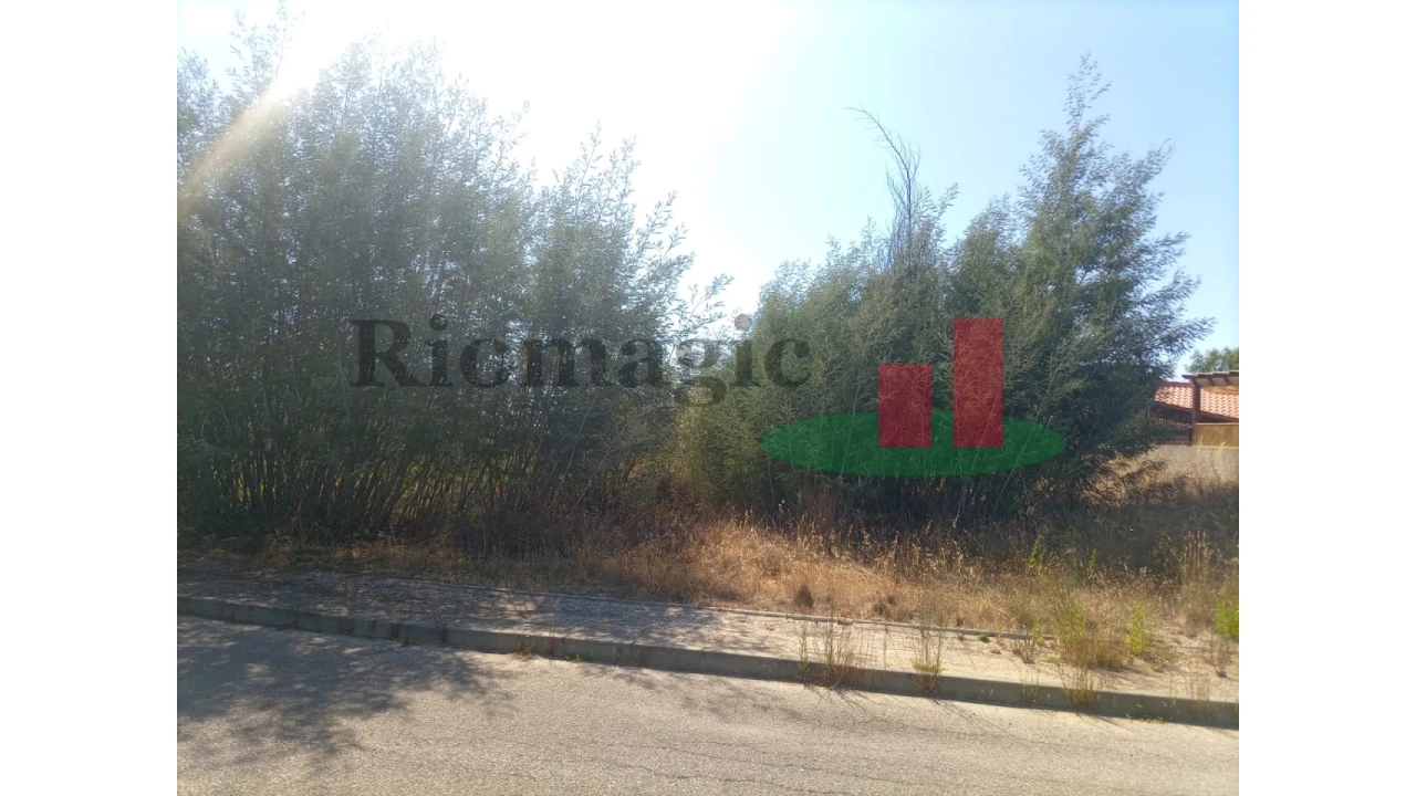 Terreno para Venda em Mação, Penhascoso e Aboboreira Foto 5