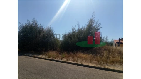 Terreno para Venda em Mação, Penhascoso e Aboboreira