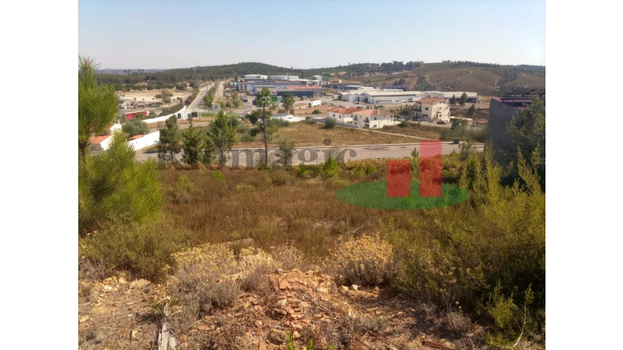 Terreno para Venda em Mação, Penhascoso e Aboboreira Foto 2
