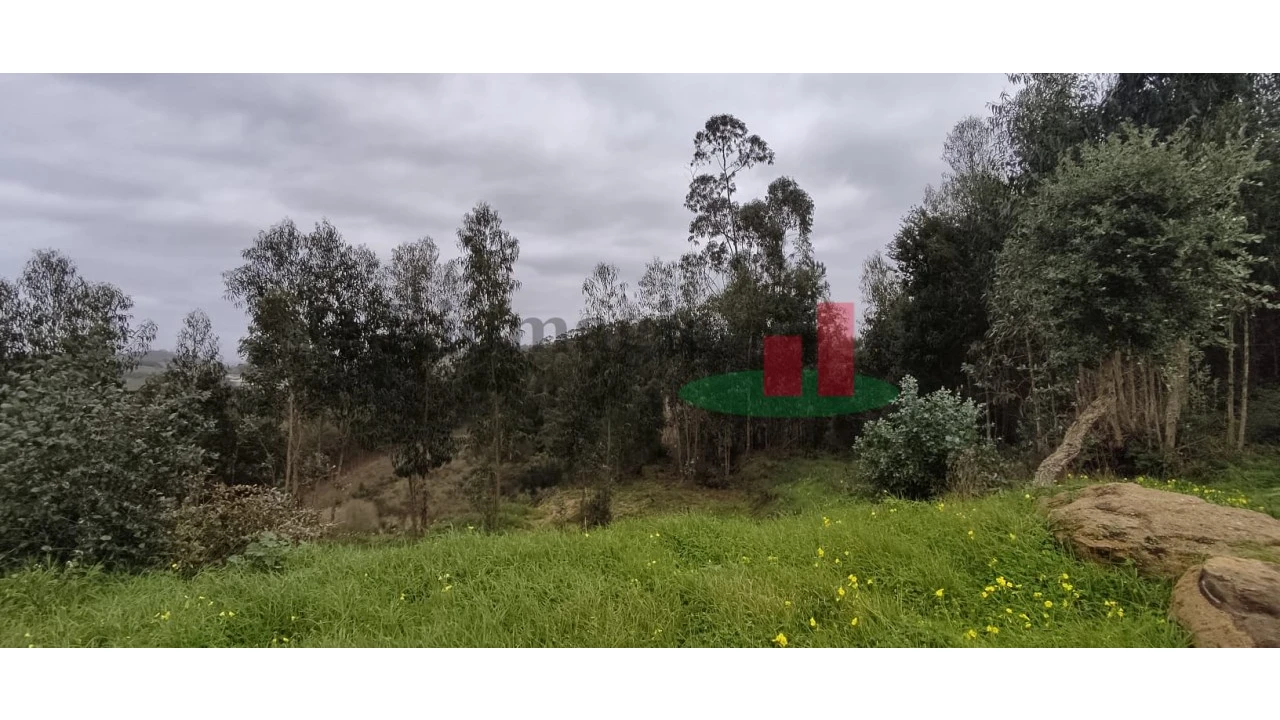 Terreno para Venda em Santa Catarina Foto 5