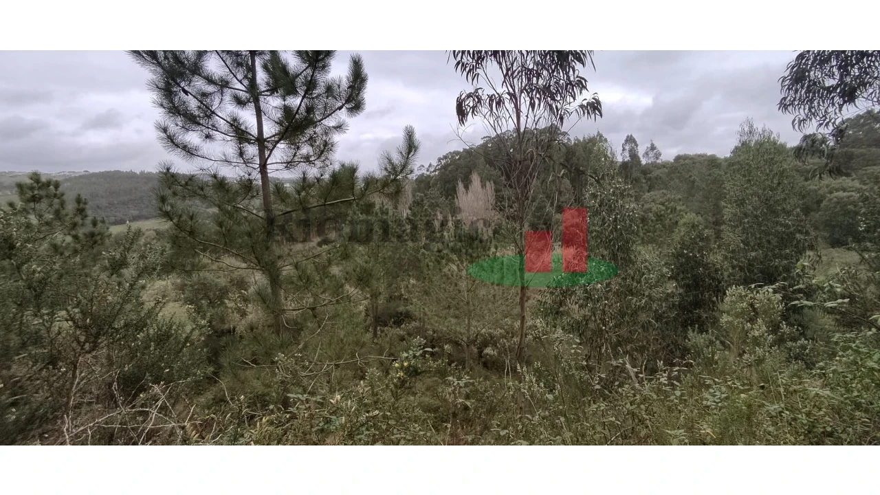 Terreno para Venda em Santa Catarina Foto 7